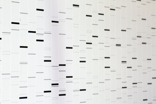 DNA analysis. Data with genetic information as background, closeup