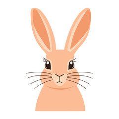 Fototapeta premium Rabbit illustration animal bunny vector