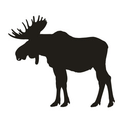 Fototapeta premium Moose eating silhouette illustration wildlife animal vector
