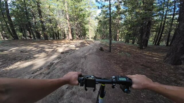 Mountain Bike POV Mt Pinos McGill Trail Chula Vista Campground California USA