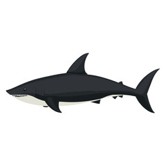 Fototapeta premium Shark illustration cartoon underwater vector