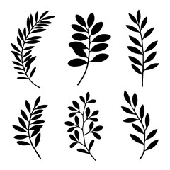 A black and white vector illustration of botanical leaves and herbs in silhouette style. The minimalistic design features five distinct plant stems arranged in a row on a white background.