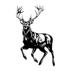Fototapeta premium Simple black male deer full body running linear art illustration wildlife vector
