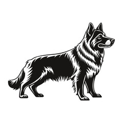 Simple german shepherd full body linear illustration graphic animal vector