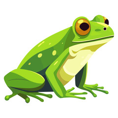 Fototapeta premium Frog frog illustration amphibian vector