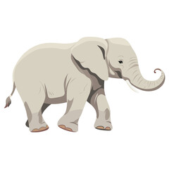 Fototapeta premium Elephant walking elephant illustration wildlife vector
