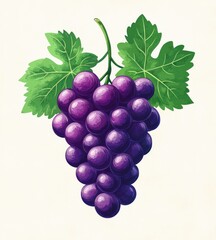 Fototapeta premium Purple Grapes with Green Leaves, Fresh Fruit, Vineyard and Winery Icon, Minimal Design, Healthy Eating, Organic Agriculture, Juicy Berry