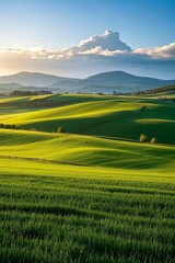 Fototapeta premium a view of a green field with hills in the distance