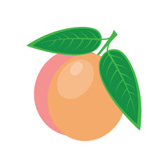 Peach. Ripe peach with green leaves. Fresh juicy fruit. The vector illustration is isolated on a white background
