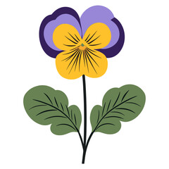 Obraz premium Pansy flower pansy illustration vector