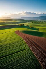 a view of a green field with a dirt road in the middle