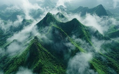 Misty mountain range. Lush green peaks shrouded in clouds