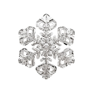 Stunning Snowflake Crystal Structure