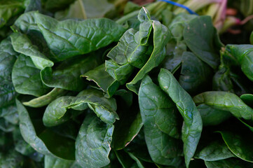 Fresh spinach leaves glistening with dew in a vibrant farmer's market stall during early morning hours