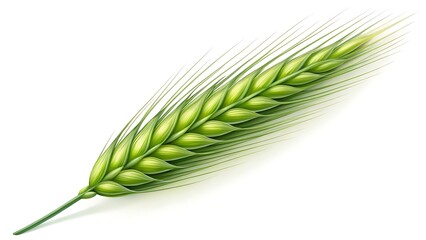 Green wheat ear