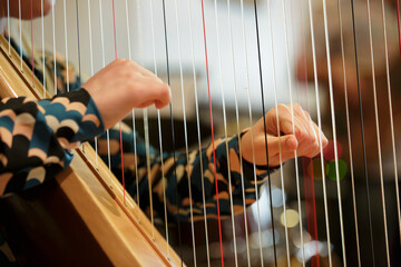 Harpist playing a beautiful melody during a cozy indoor gathering with colorful attire and warm ambiance