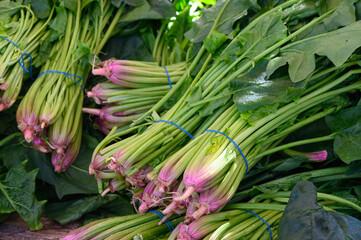 Obraz premium Bunches of fresh green vegetables with a hint of pink at a bustling farmers market in the early morning