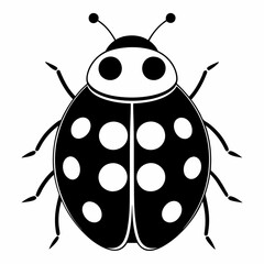 ladybird vector illustration