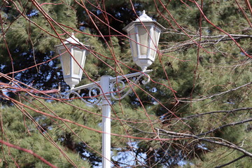 Street lights in the park, in the yard for lighting. Beautiful vintage lamps.
