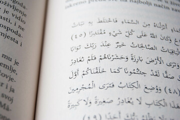 Close-up photo of Arabic text on aged book pages, showcasing intricate calligraphy and historical...