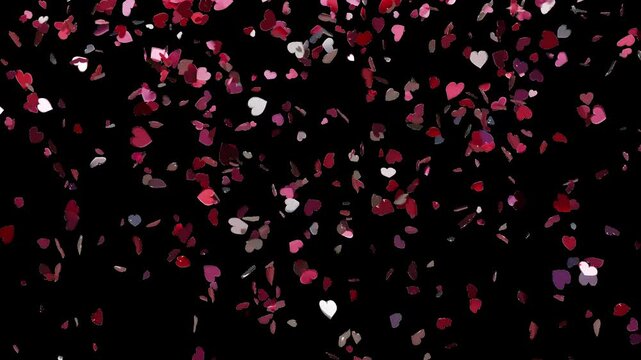 Red and Pink Hearts Confetti On Transparent Background, Alpha Channel, 3D rendered animation