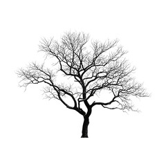 Dead dark ominous leafless spooky tree isolated on white and transparent background
