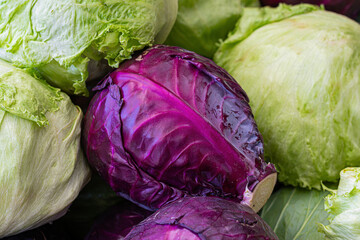 Red cabbage (purple cabbage) on green leaf iceberg lettuce