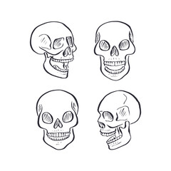 Hand drawn black and white sketchy human skulls set isolated on white background. Doodle skeleton head tattoo design