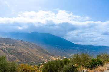 Rural road along olive trees, Granada province, Andalusia, Spain