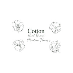 monoline vector illustration cotton flower sketch negative space.