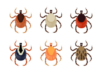 Six different types of mites on a white background