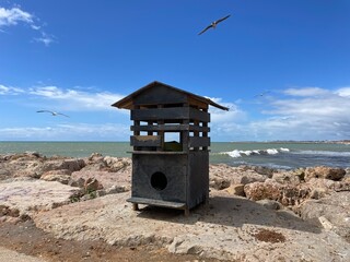 Cat shelter by the ocean, with the sea, sky, waves, and seagulls in the background.