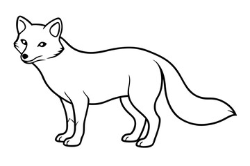 Arctic Fox One-Line Drawing