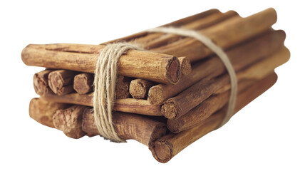 Natural bundle of twigs tied with string, perfect for crafts or kindling at home