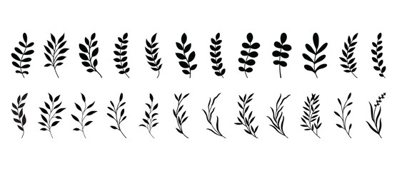 Naklejka premium Minimalist feminine botanical floral branch. Simple summer, spring branches with leaves. Botanical elements. Floral branch set. Black silhouette. Flower logo design element. Hand drawn wedding herbs