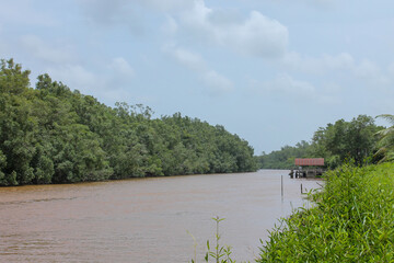 A mooring place for boats along a river in Suriname, jungle