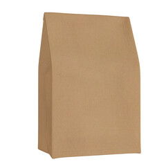 brown paper bag isolated