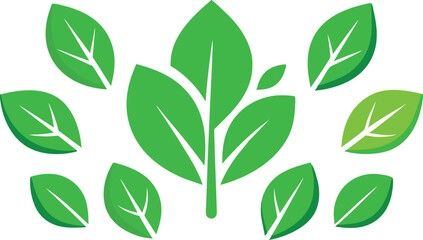 Tropical Leaves Set. Vector Illustration