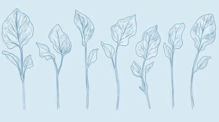 Naklejka premium Delicate Pastel Blue Line Art Botanical Illustration