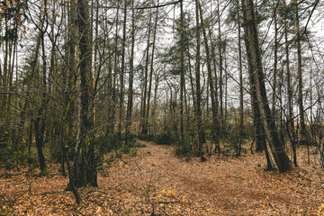 Exploring roads less ridden, little adventures around hometown