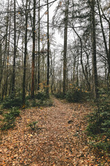 Exploring roads less ridden, little adventures around hometown