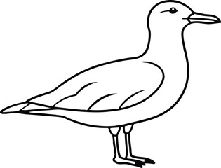 Obraz premium Simple seagull line art minimalist bird sketch