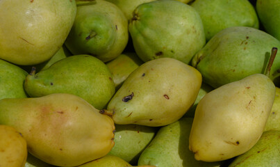 Freshly harvested pears glistening under sunlight in a bustling farmers market