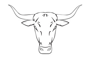 Bull head silhouette isolated on white background. Bull logo. Bull sign. Vector logo design.