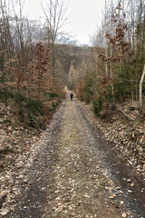 Exploring roads less ridden, little adventures around hometown