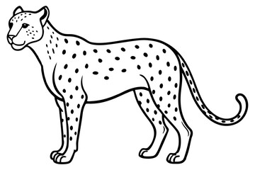 Cheetah Speed Line Art