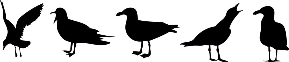 seagulls silhouette vector on white background