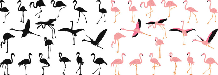 flamingos in different angles collection, set silhouette vector on white background
