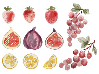 Watercolor Fruit Illustration with Strawberries, Figs, Grapes, and Lemons