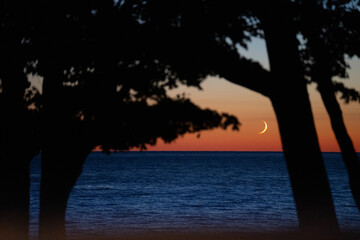 moon at sunrise over lake ontario with trees and leaves silhouetted against dark blue of lake orange sky of Ontario in Canada travel tourism ontario backdrop background horizontal image room for type 